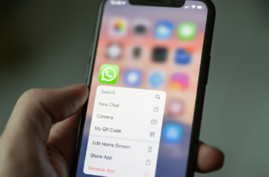 Spiare WhatsApp a distanza senza installare programmi